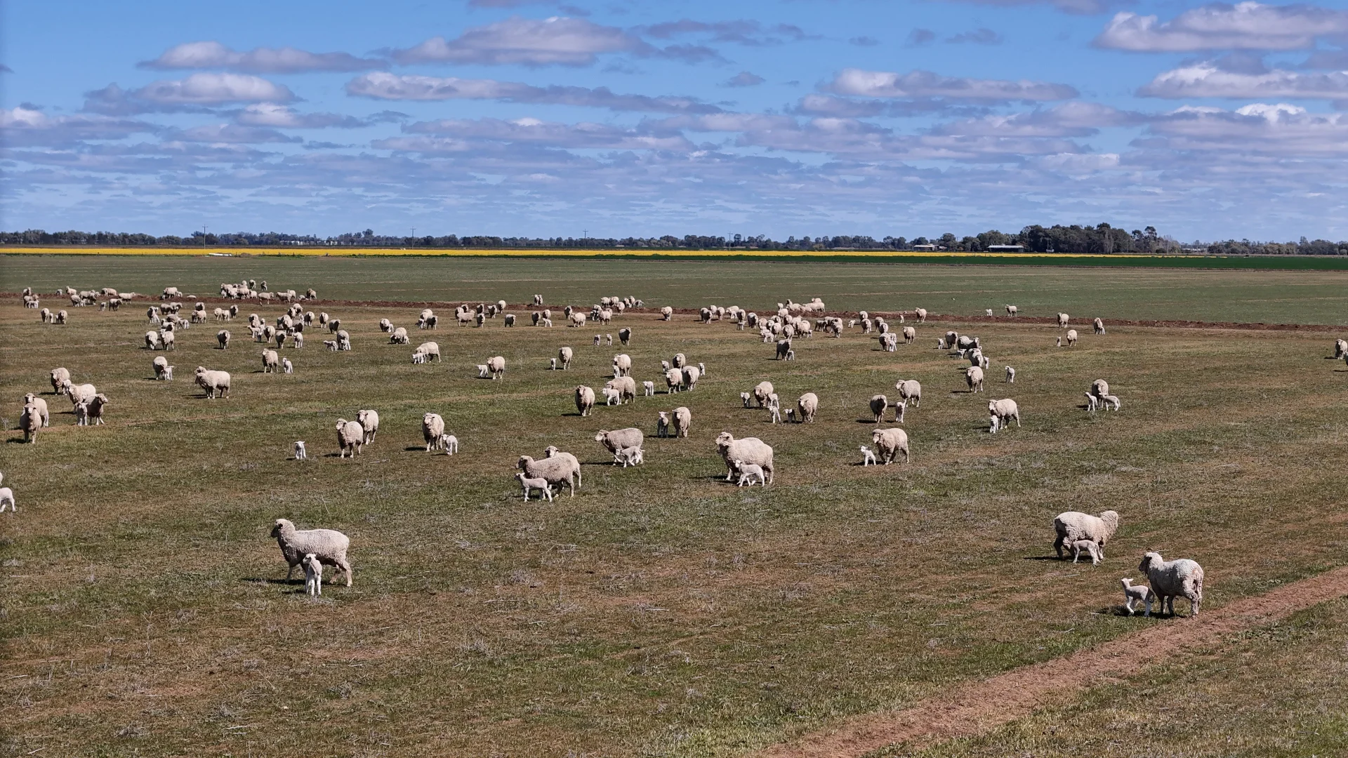 Additional image 21 of Farm 2526/408 Cashmere Road, Widgelli NSW 2680