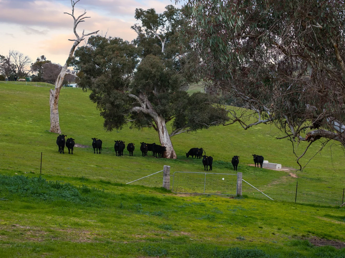 Additional image 15 of "Garratt" 597 Garratt Road, Jugiong NSW 2726