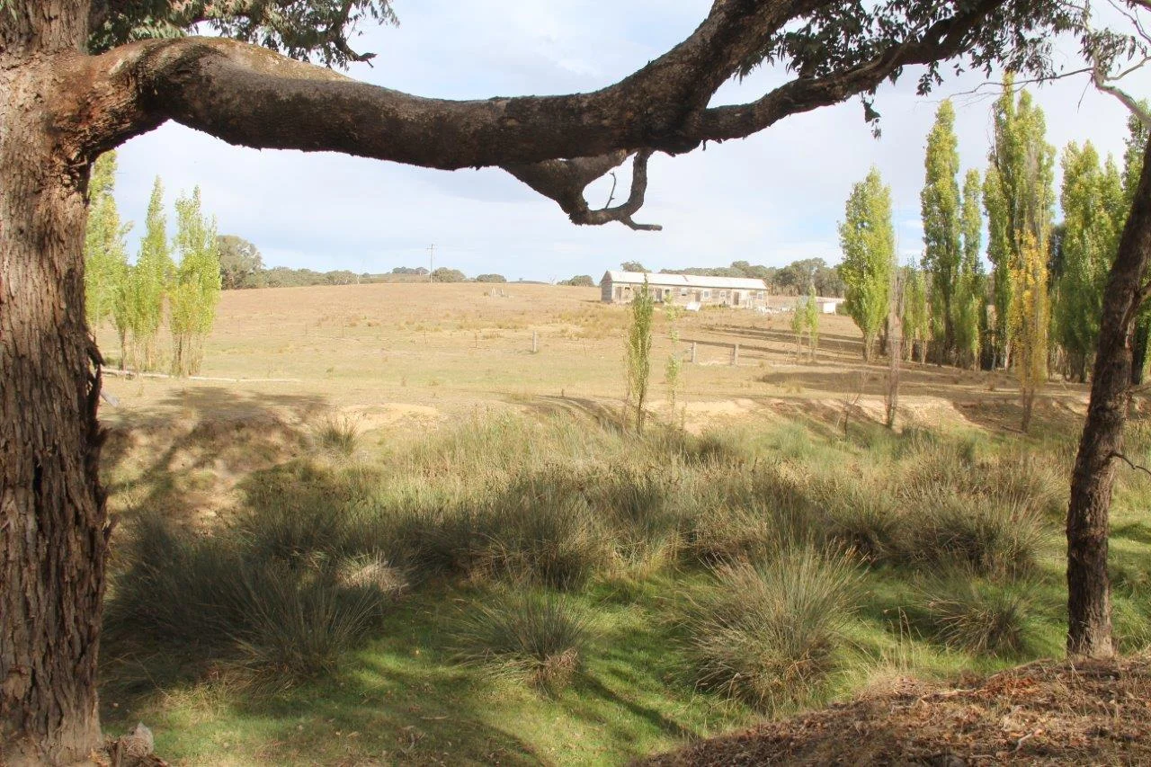 Additional image 6 of 2137 Kiowarrah Road, Bevendale NSW 2581