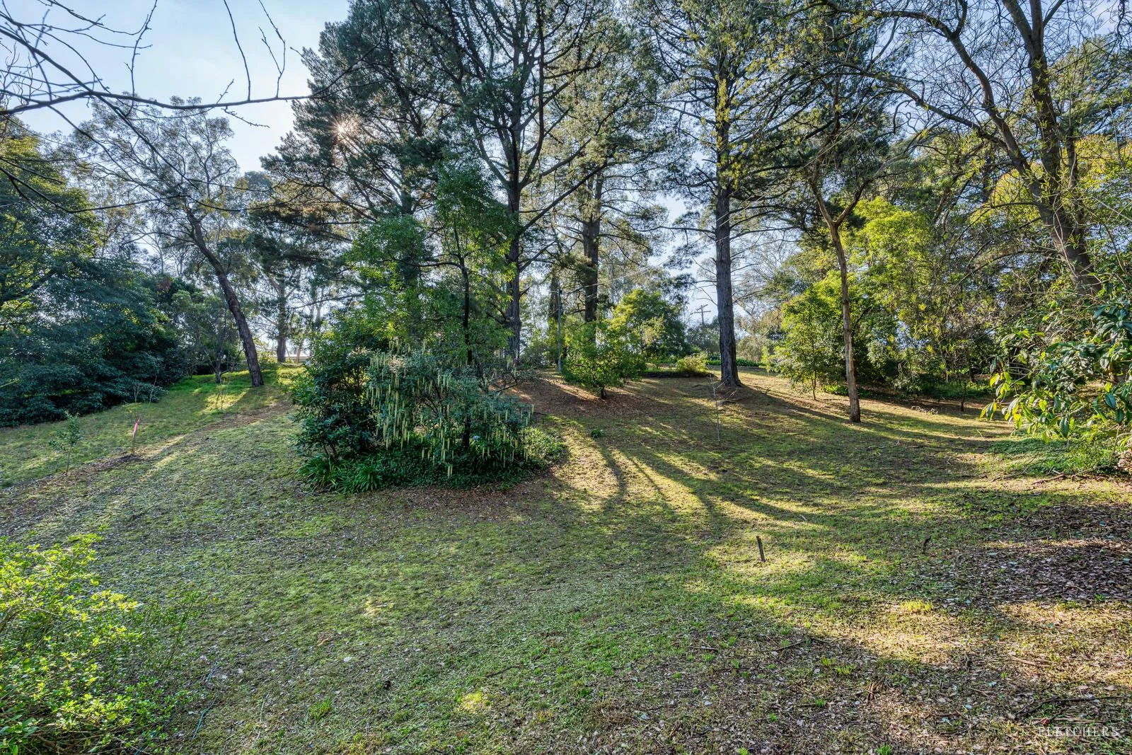 Additional image 5 of 22 Colonsay Street, Templestowe VIC 3106
