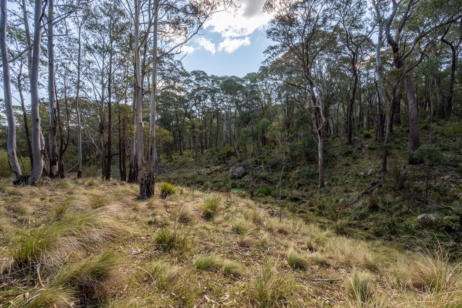 Additional image 16 of 153 Blue Bush Road, Wyanbene NSW 2622