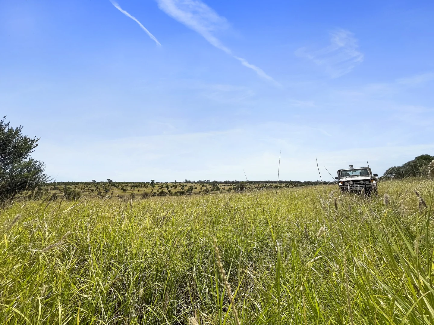 Additional image 9 of 3760 Mitchell-St George Road, Mitchell QLD 4465