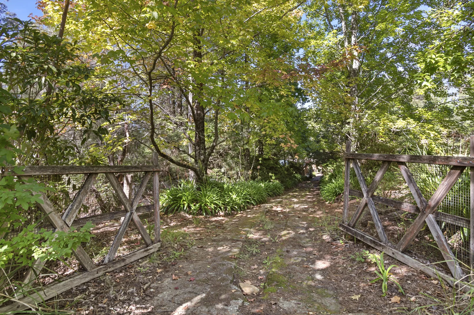 Additional image 19 of 174 Mountain Lagoon Road, Bilpin NSW 2758