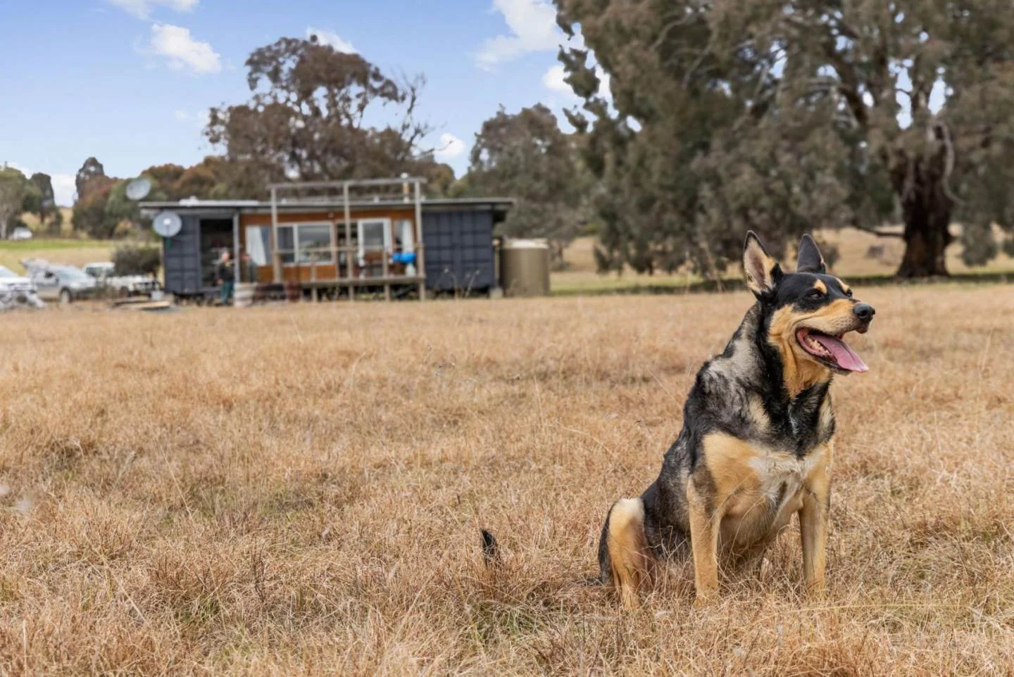 Additional image 14 of 2102 Kiowarrah Road, Bevendale NSW 2581