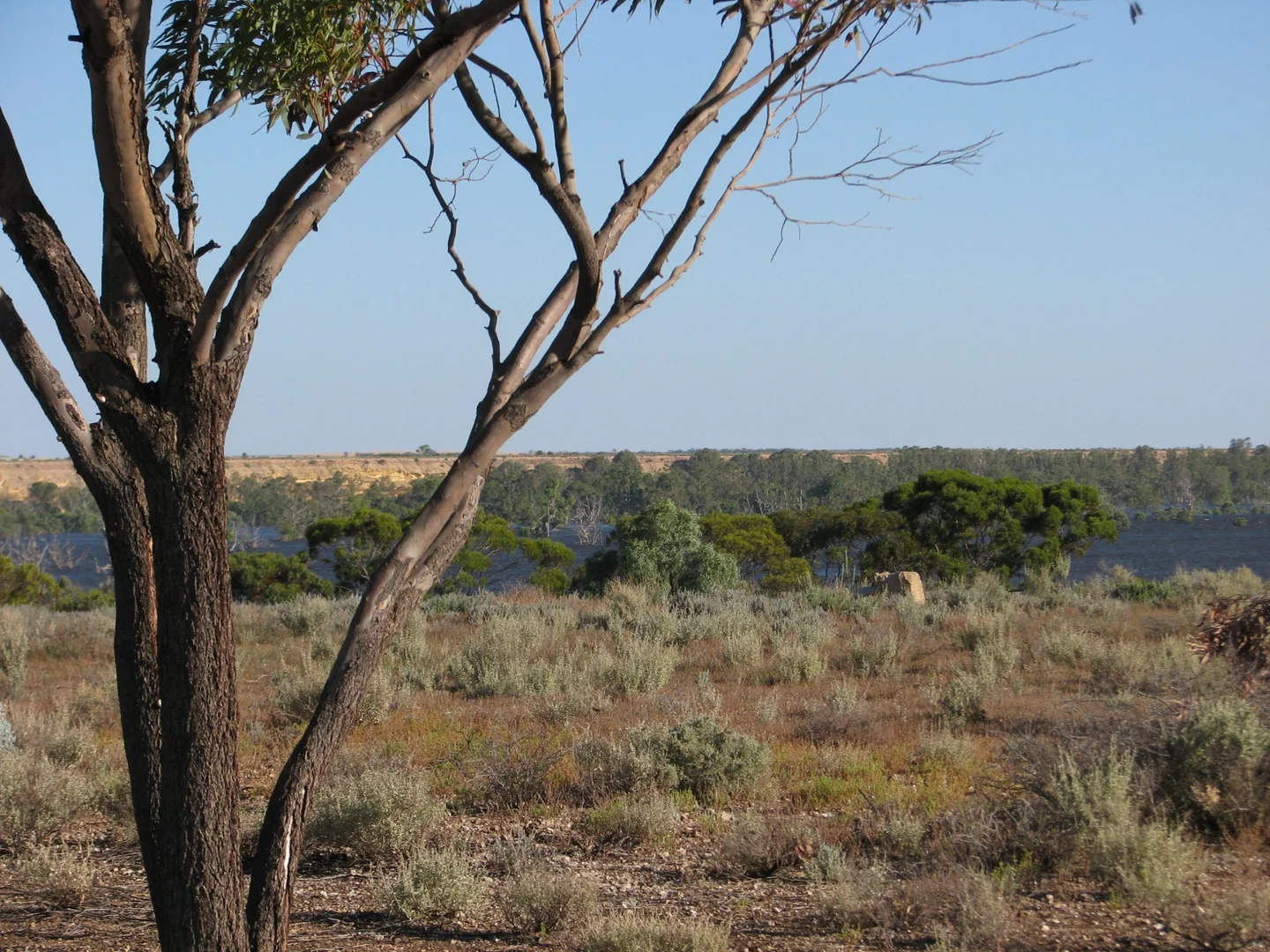 Additional image 4 of lot 1000 Merivale Street, Blanchetown SA 5357