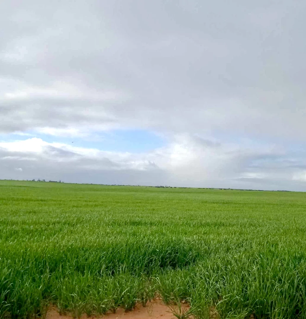 Additional image 29 of 1266 OTC Road, Wandana SA 5690