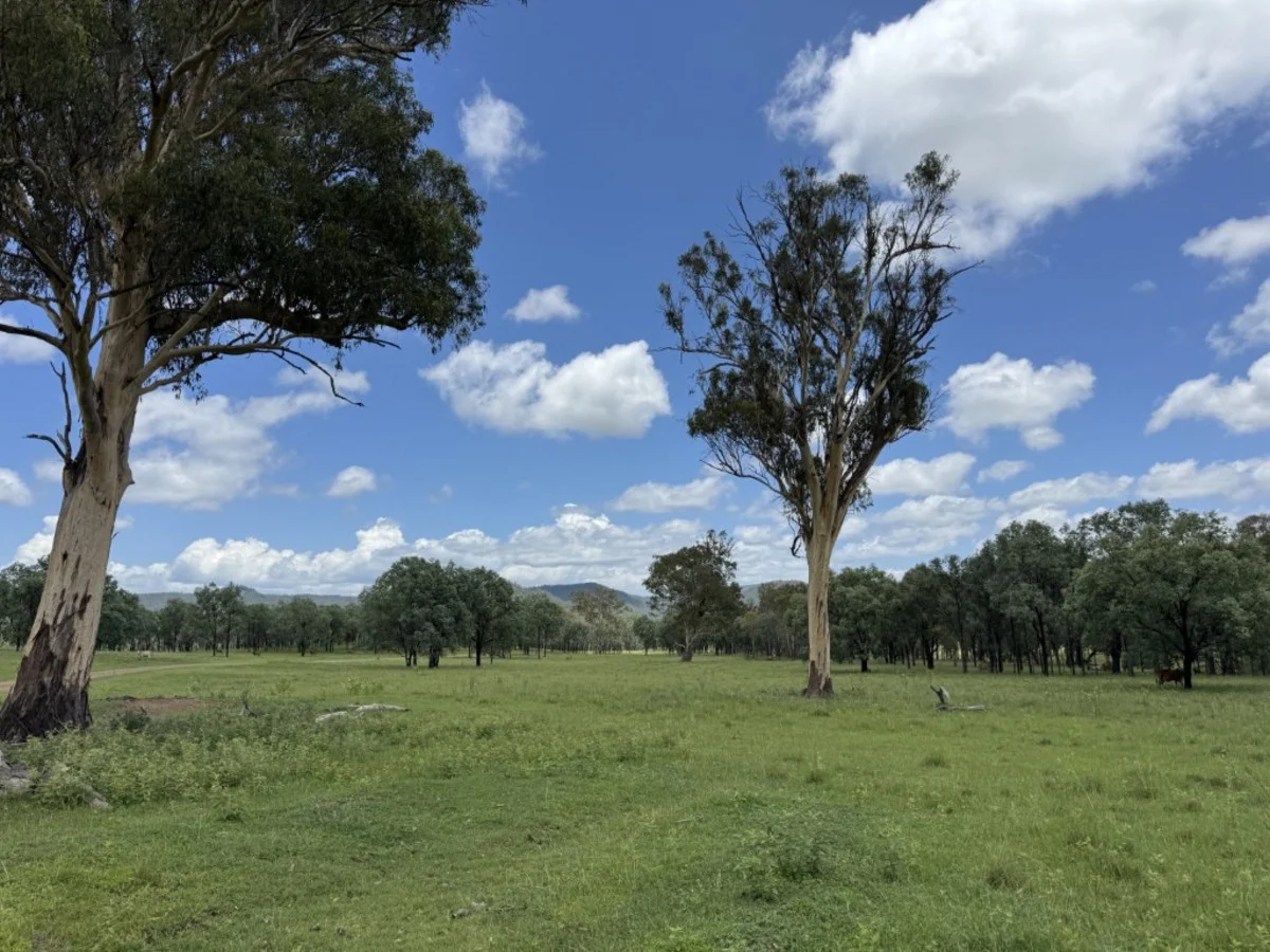 Additional image 23 of 2655 Clonmel Road, Monto QLD 4630