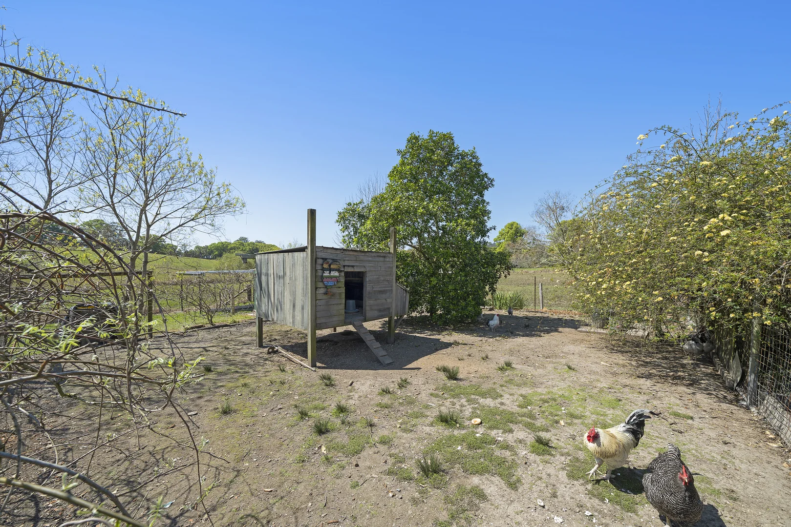 Additional image 23 of 20 North Branch Road, Upsalls Creek NSW 2439