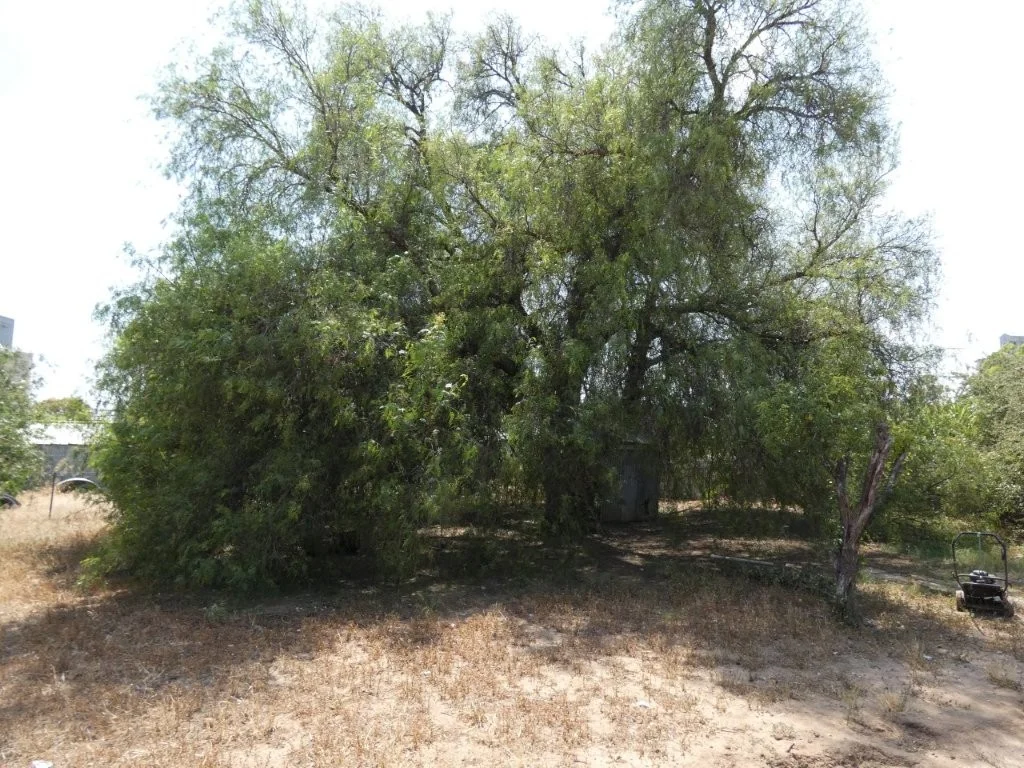 Additional image 24 of 59 Broadway, Jeparit VIC 3423