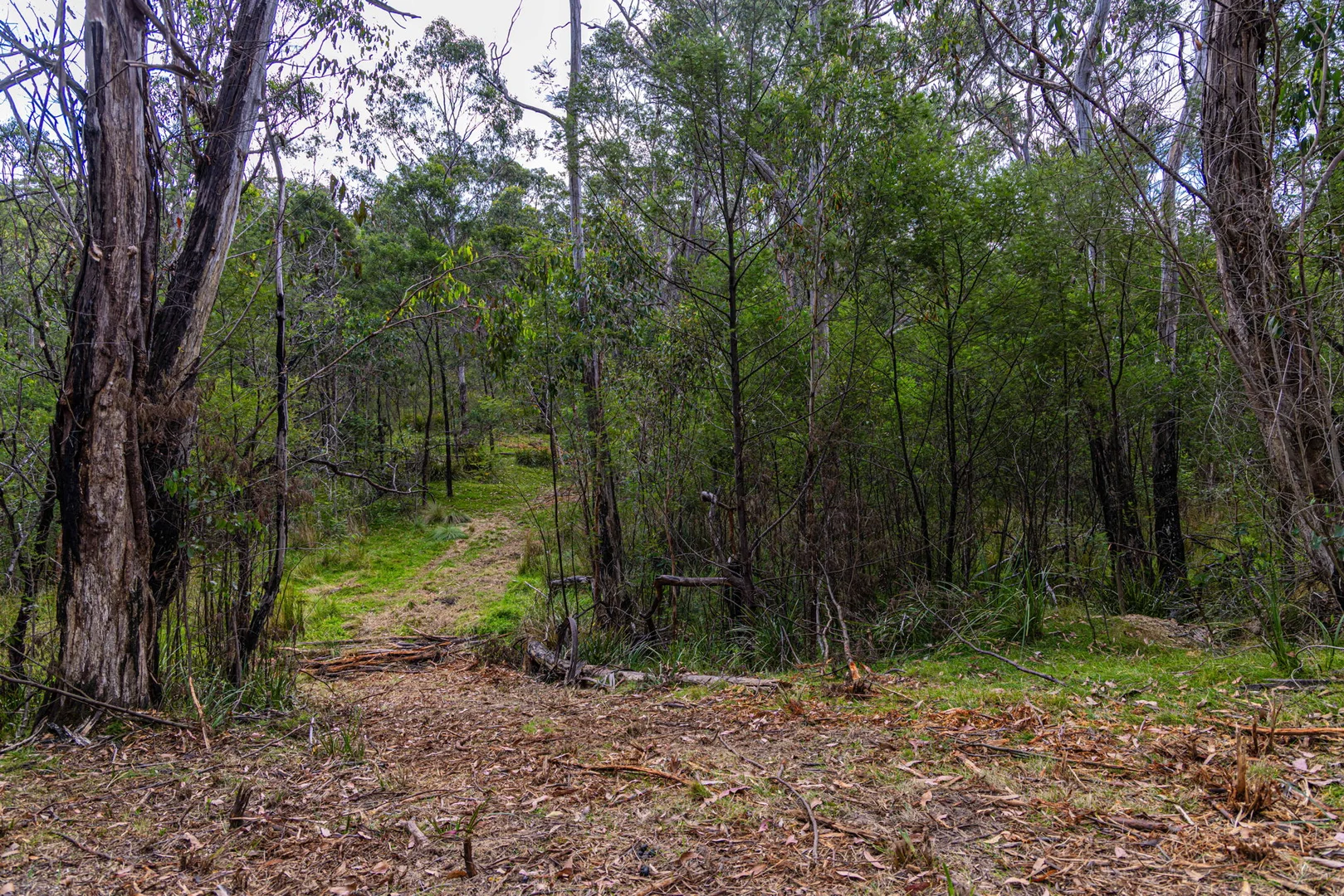 Additional image 10 of 153 Murumba Rd,, Bombay NSW 2622