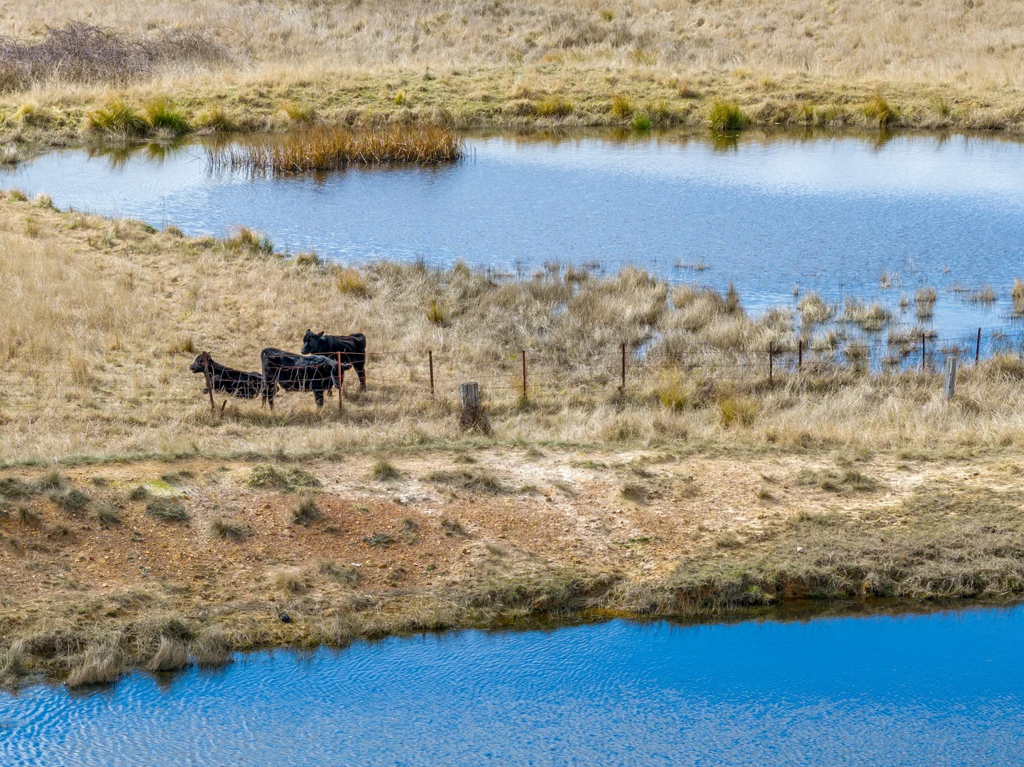 Additional image 9 of 22 Elouera Road, Windellama NSW 2580