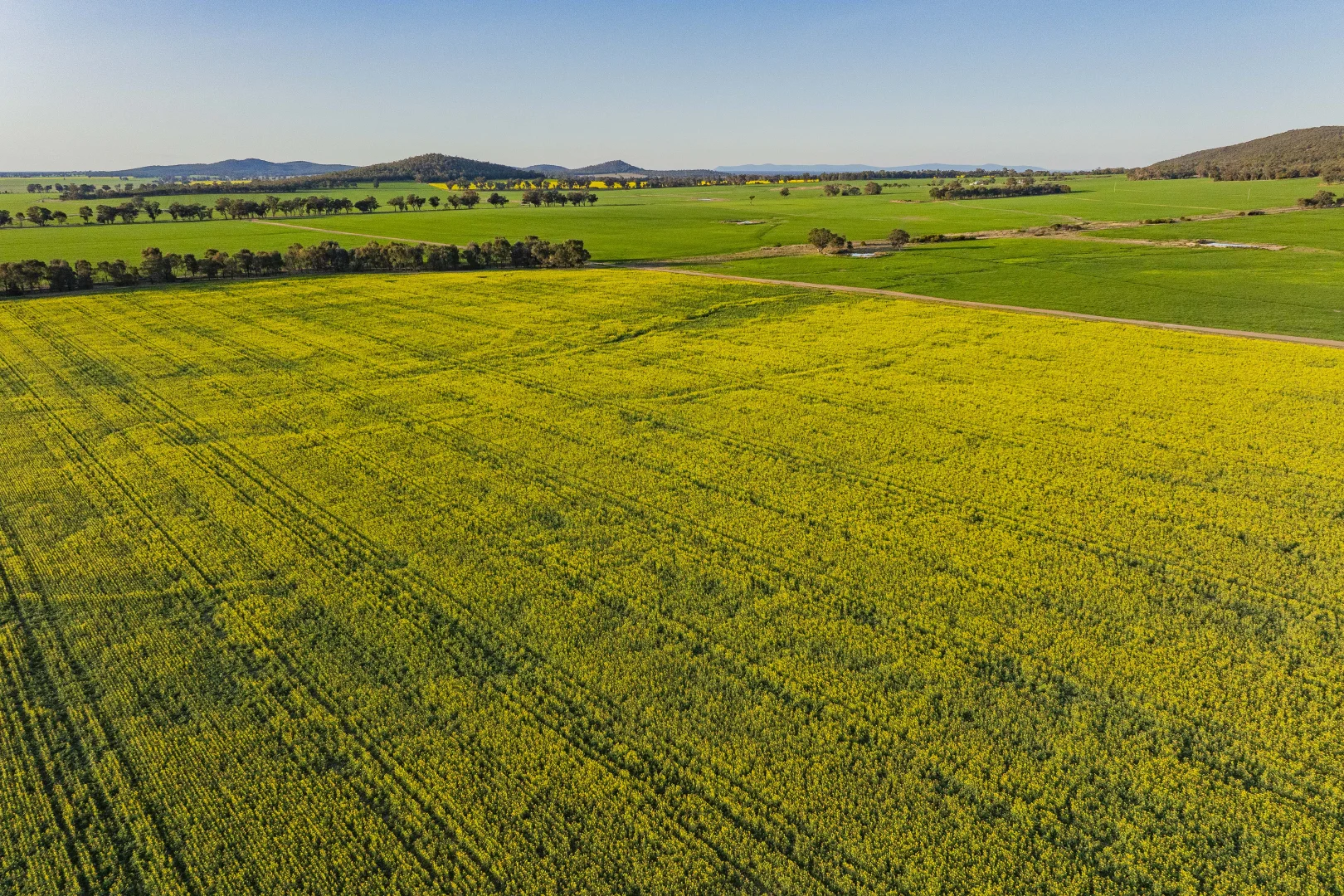 Additional image 38 of 1349 Trungley Hall Road, Temora NSW 2666