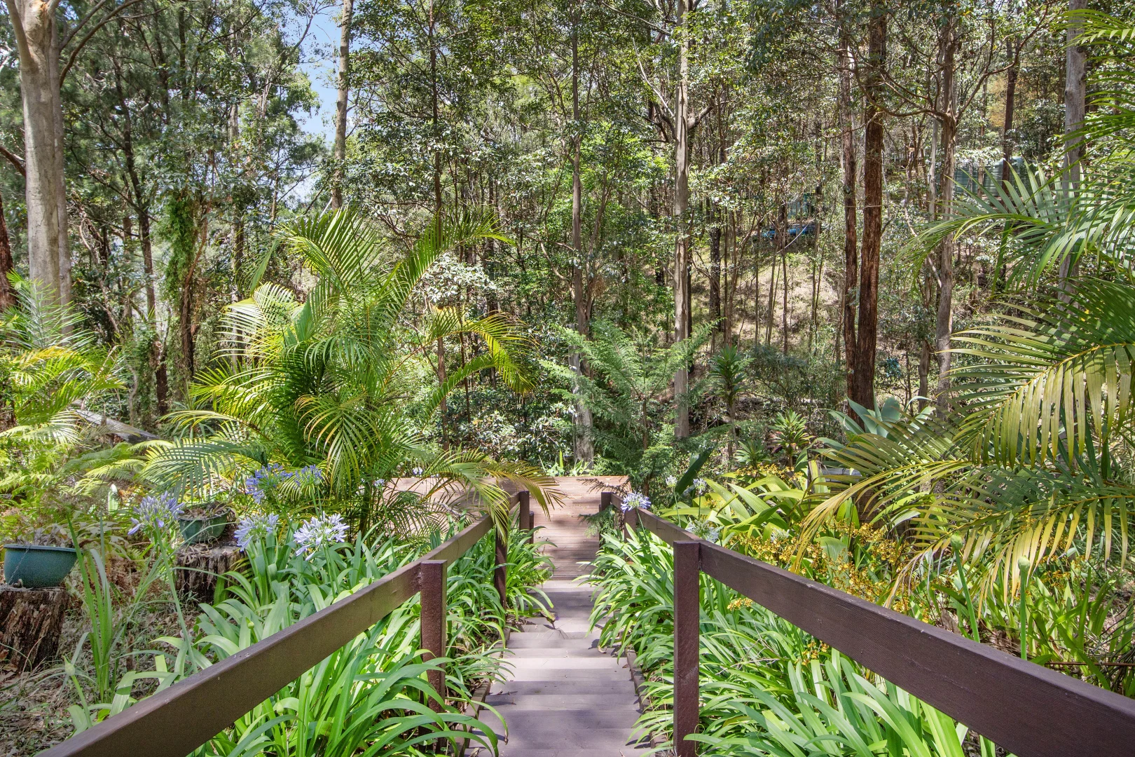 Additional image 26 of 17 Lombok Court, Tamborine Mountain QLD 4272