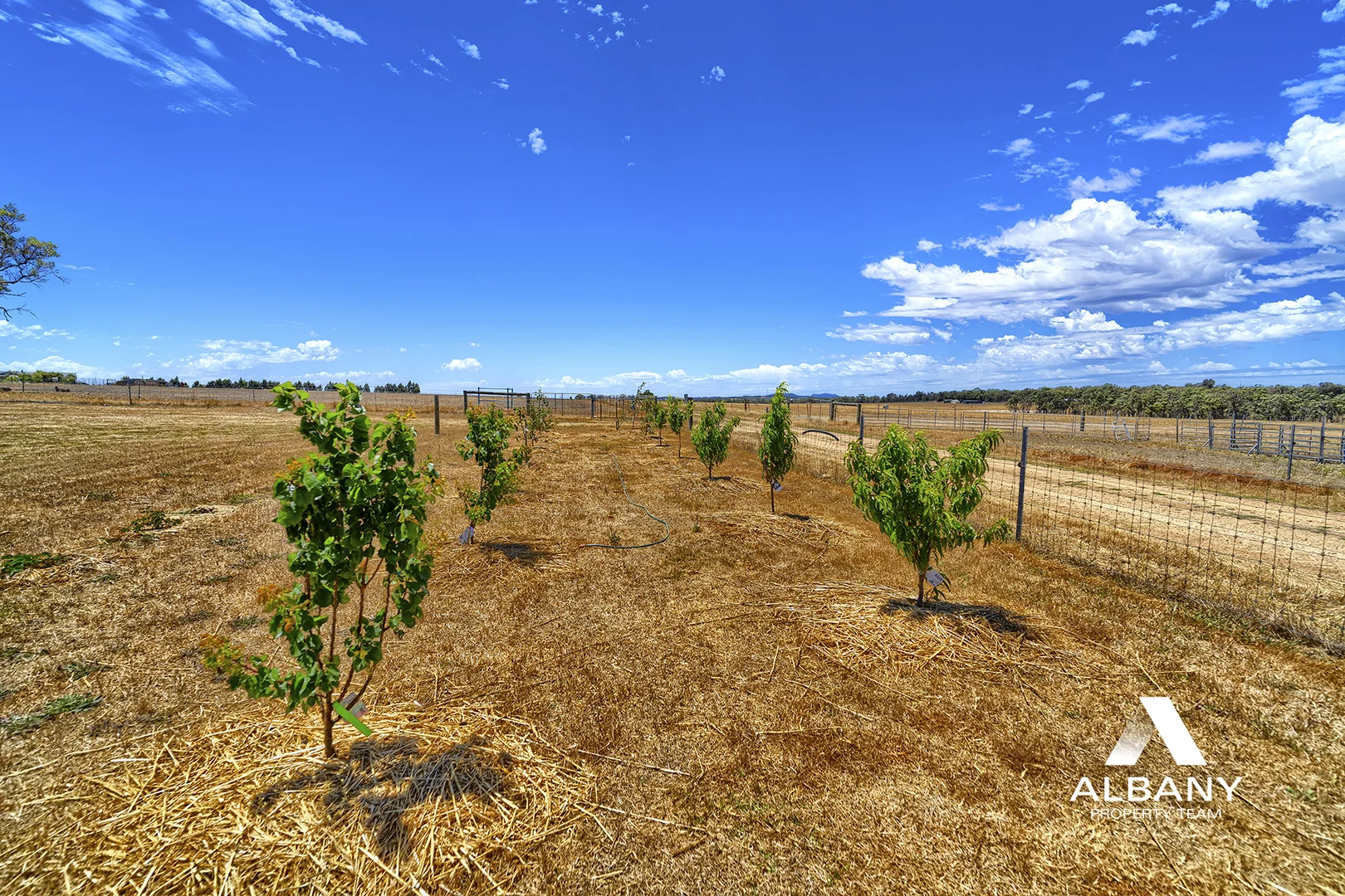 Additional image 12 of Lot 671 Horne Road, Mount Barker WA 6324