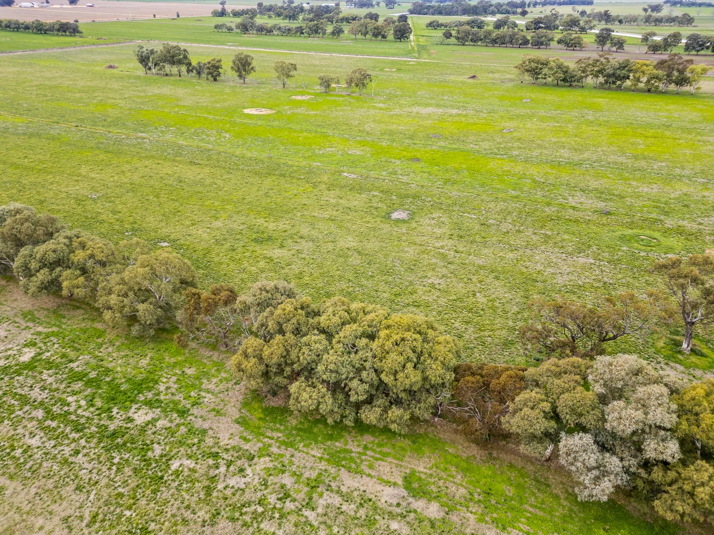 Additional image 50 of 415 Tyacks Road, Yalca VIC 3637