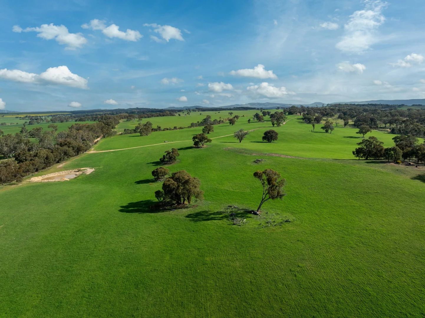 Additional image 4 of 4040 Sunraysia Highway, Lexton VIC 3352