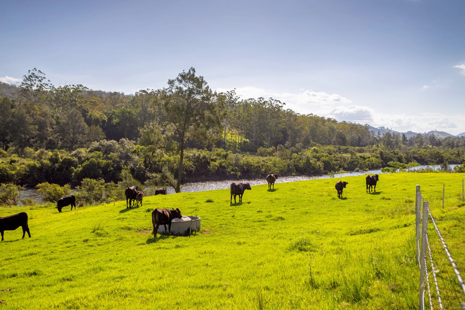 Additional image 19 of 424 Norwood Lane, Mount George NSW 2424