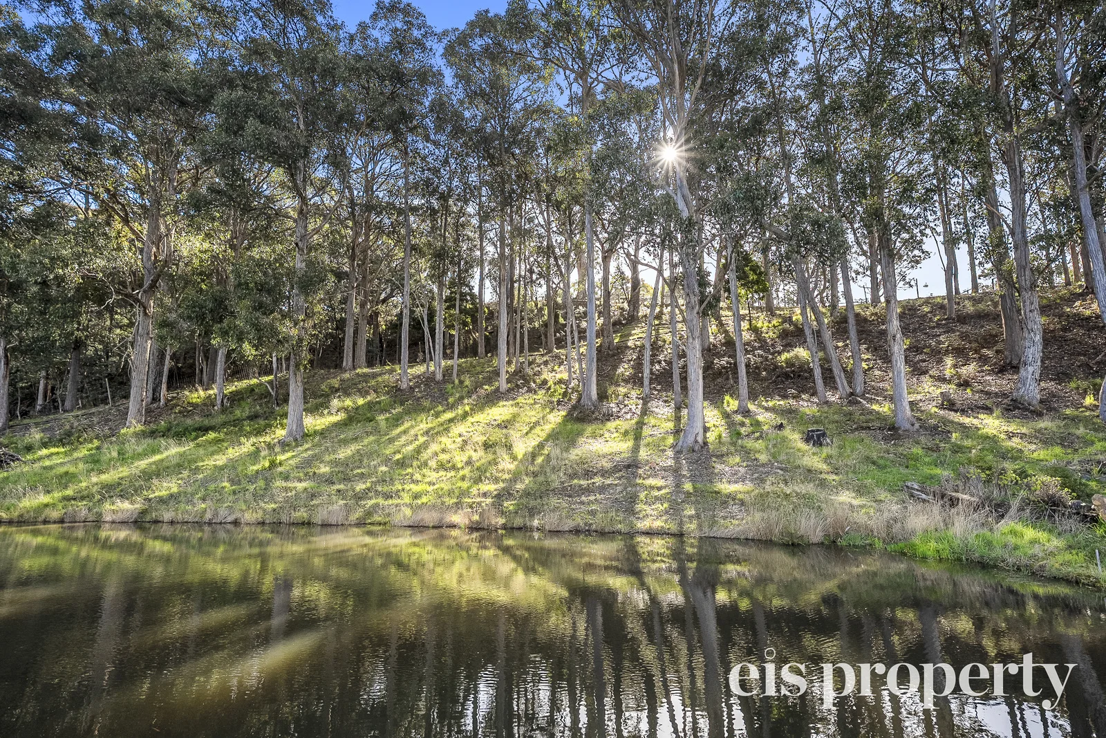 Additional image 27 of 23 White Cliffs Road, Brooks Bay TAS 7116