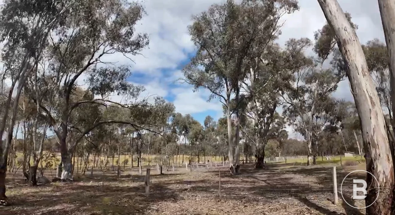 Additional image 9 of 363 Tullaroop Road, Maryborough VIC 3465