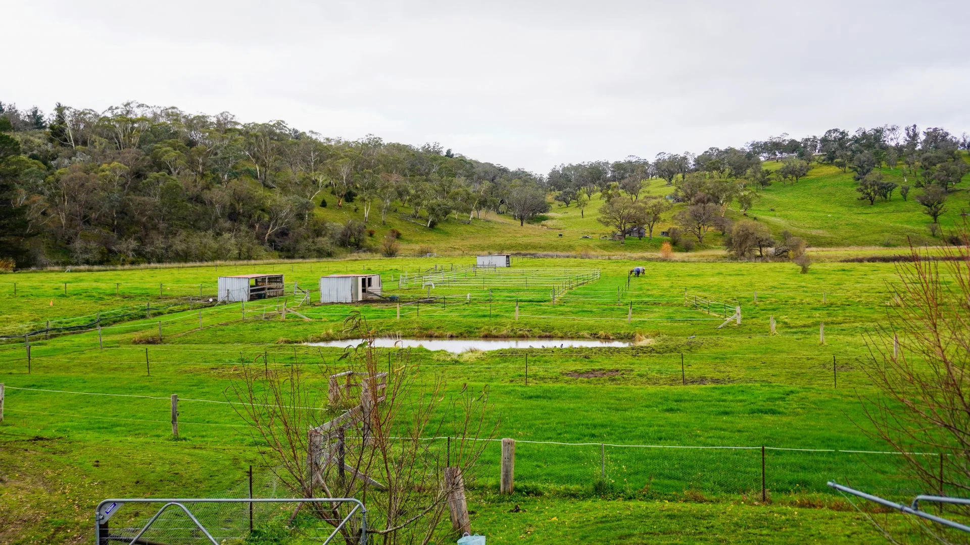 Additional image 20 of 105S Derby Street, Walcha NSW 2354