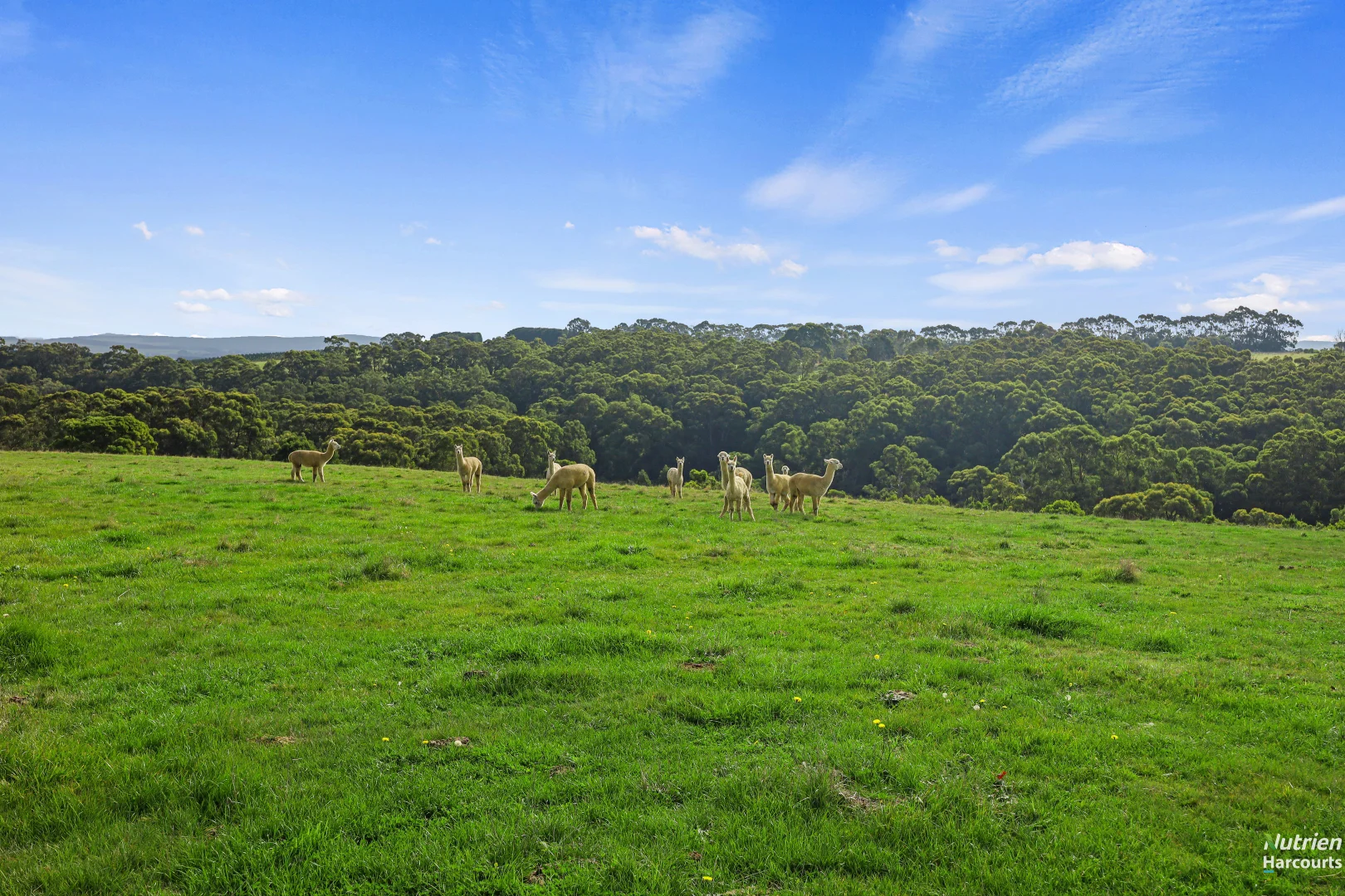 Additional image 8 of 201 Turrong Road, Cooriemungle VIC 3268