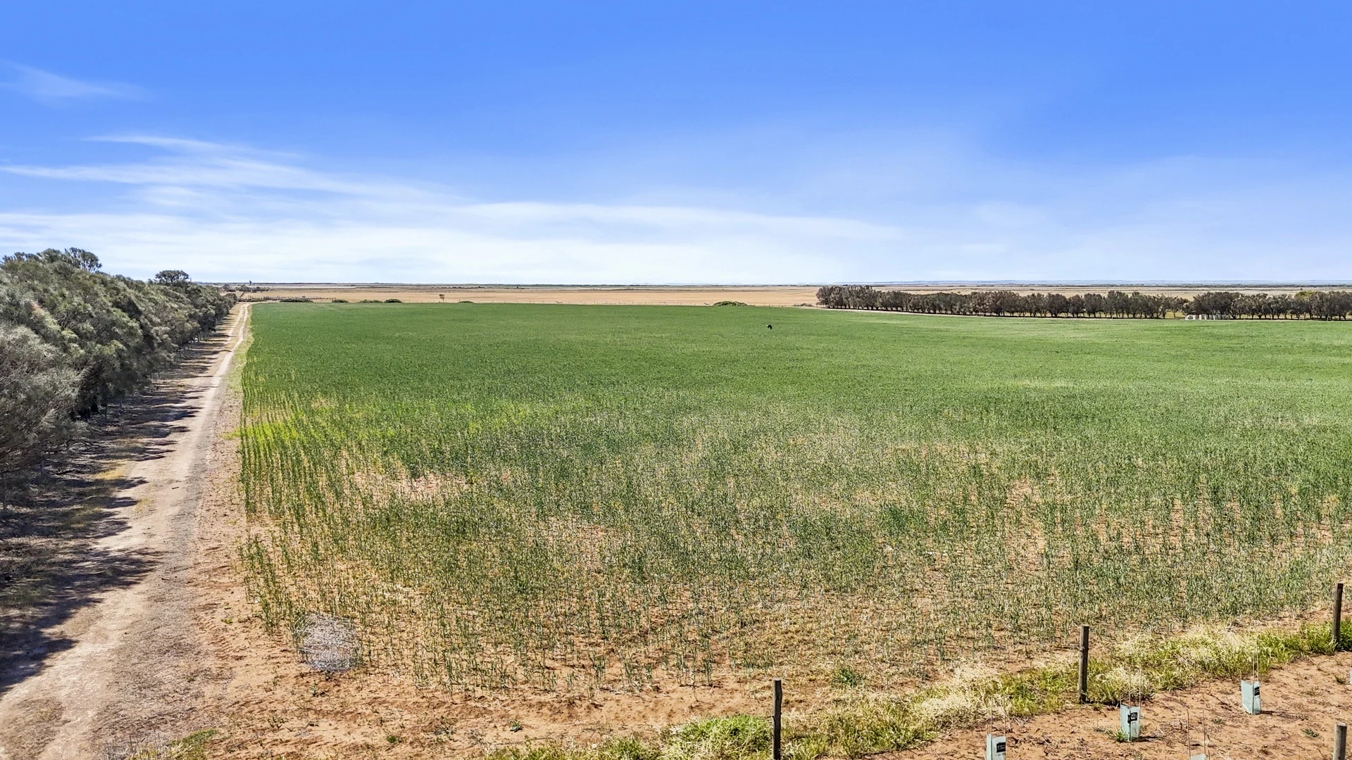 Additional image 7 of Lot 1 Tolderol Road, Langhorne Creek SA 5255