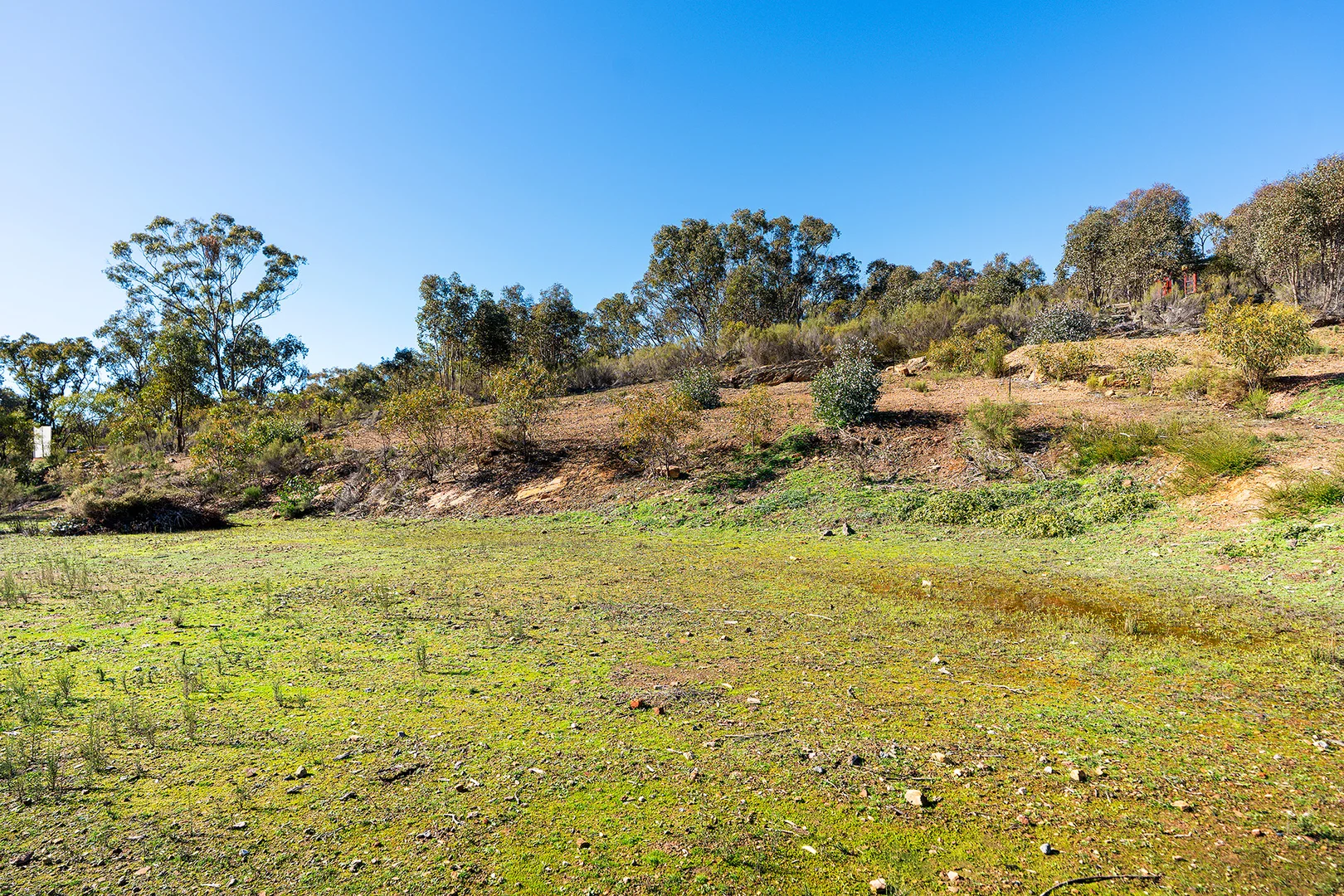 Additional image 5 of 130 Fryers Road, Chewton VIC 3451