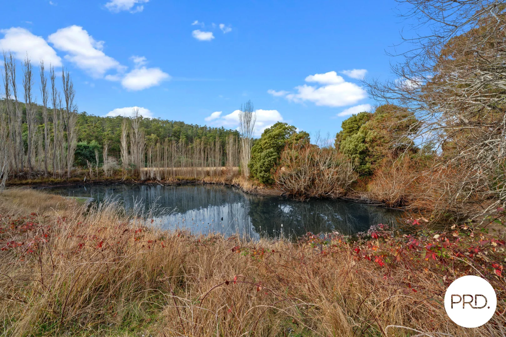 Additional image 29 of 240 Ellendale Road, Fentonbury TAS 7140