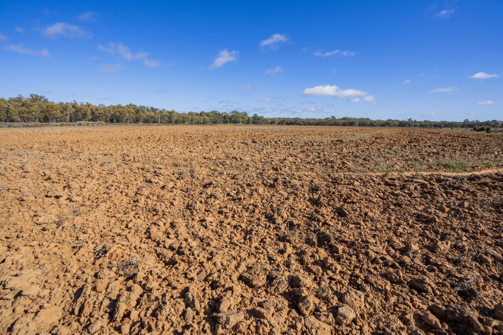 Additional image 11 of 4007 Kiacatoo Road, Condobolin NSW 2877