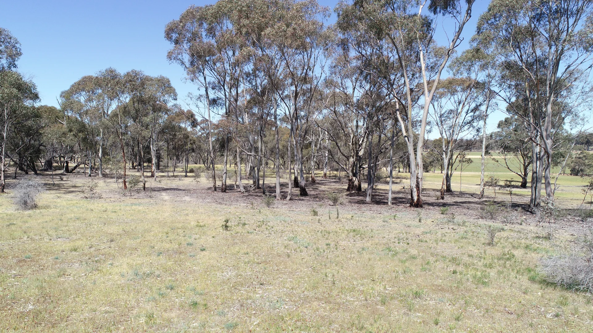 Additional image 5 of Allotment 7D Wedderburn Road, St Arnaud East VIC 3477