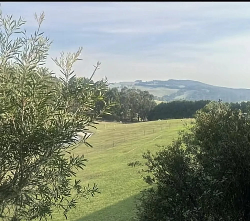 Additional image 17 of 113 Donelan Dr, Hernes Oak VIC 3825