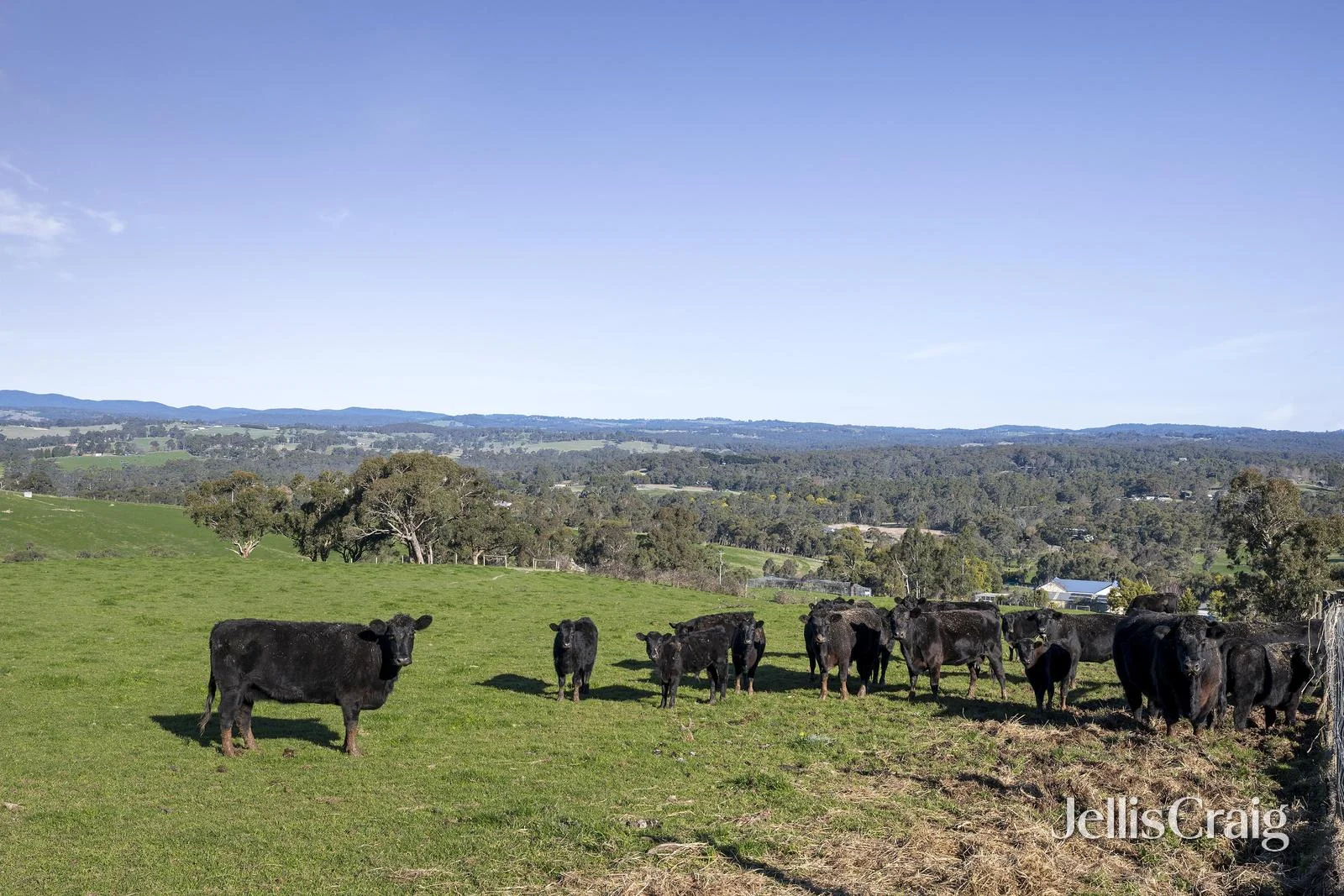 Additional image 29 of 670 Beenak Road, Seville VIC 3139