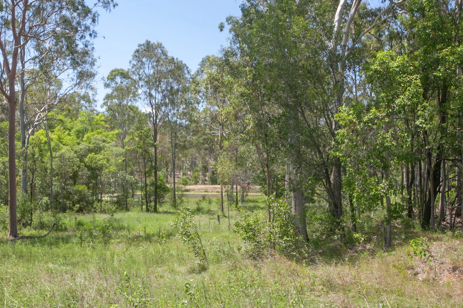 Additional image 42 of 608 Cross Rd, Euleilah QLD 4674