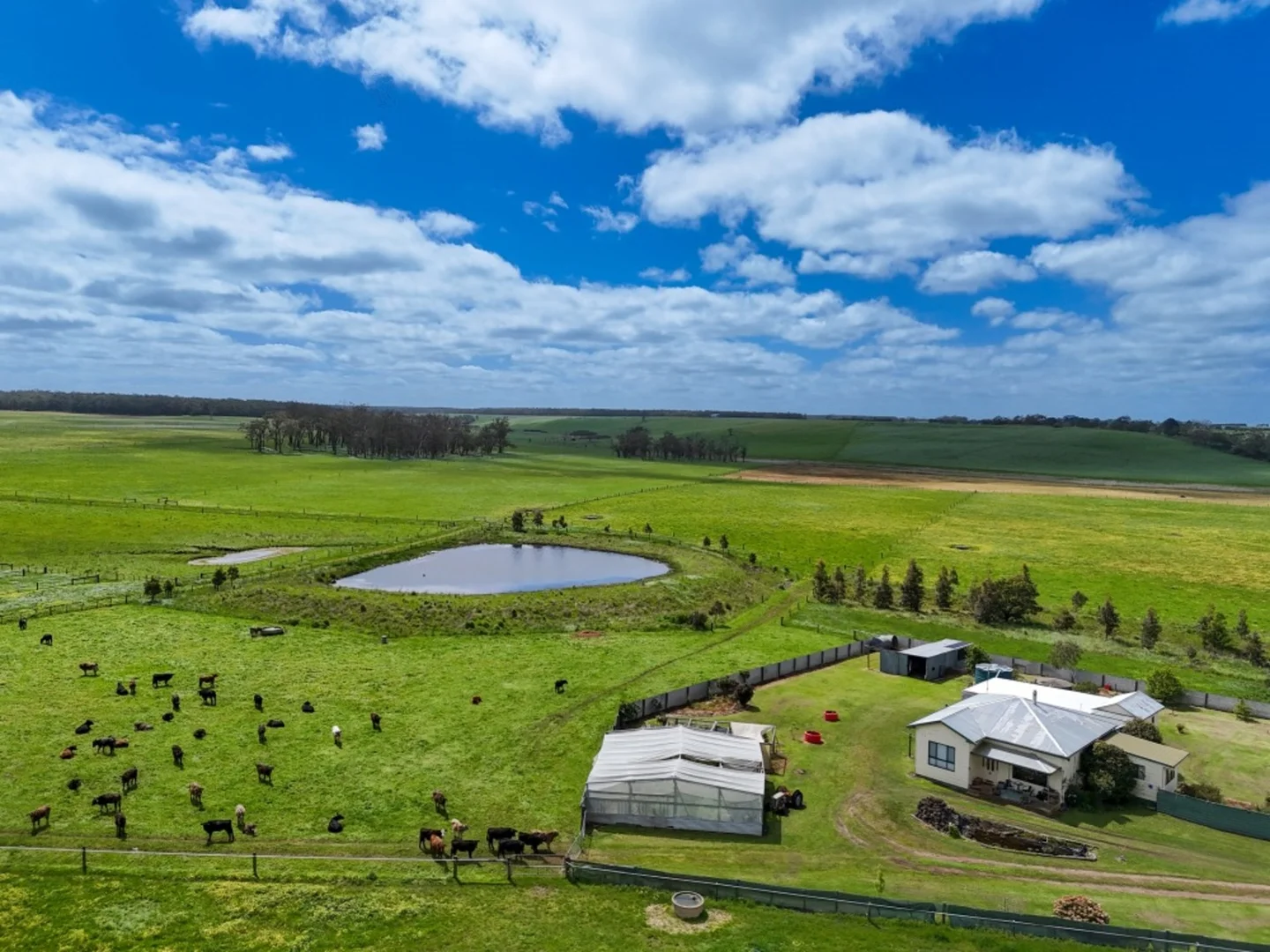 Additional image 19 of 830 Condah-Ettrick Road, Milltown VIC 3304