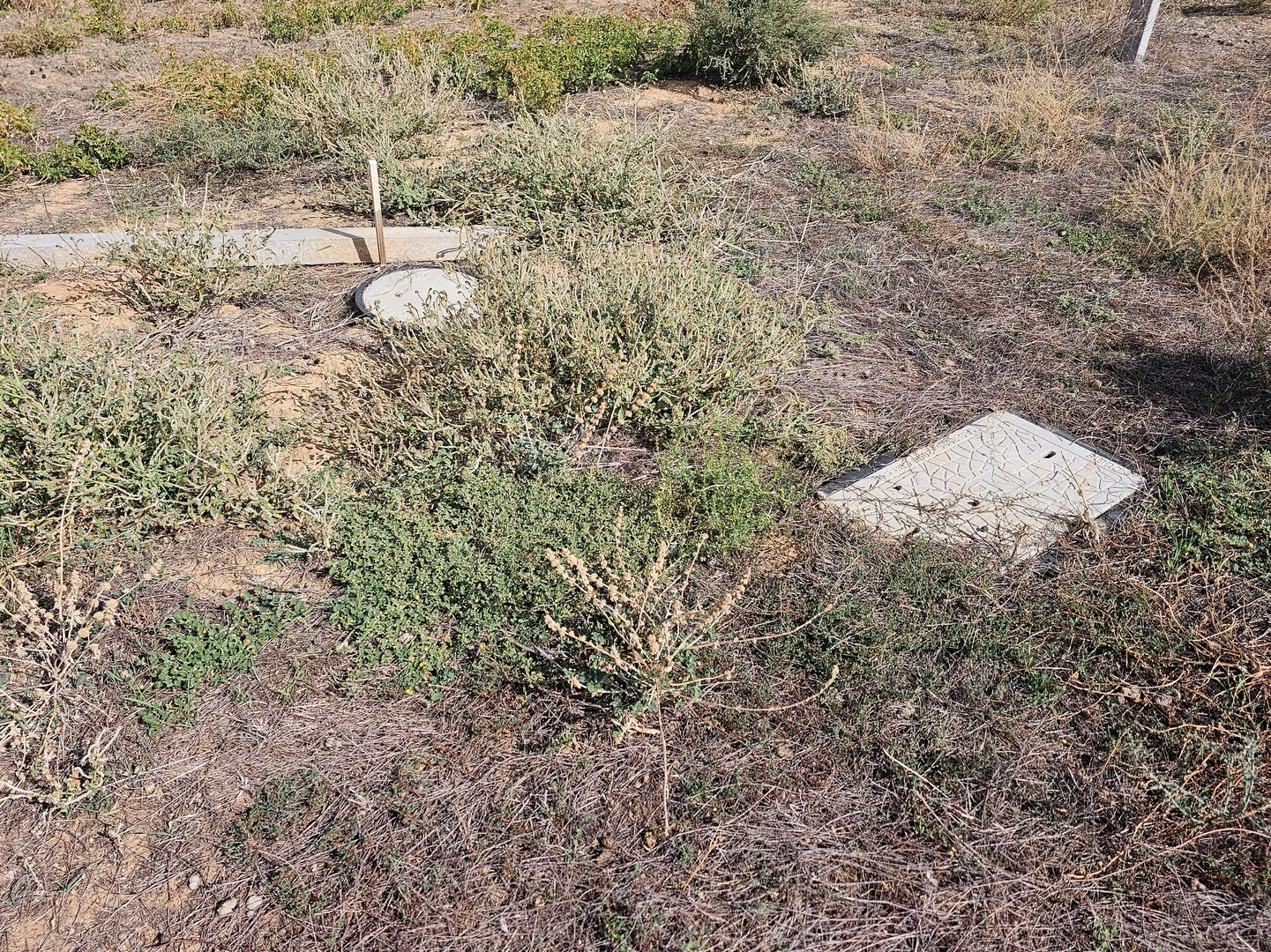 Additional image 3 of 3 Moss Street, Koondrook VIC 3580