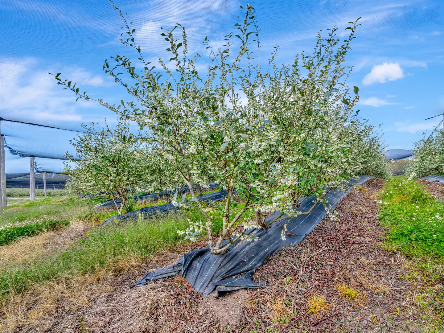 Additional image 14 of 13 Schuppe Drive, Congarinni North NSW 2447