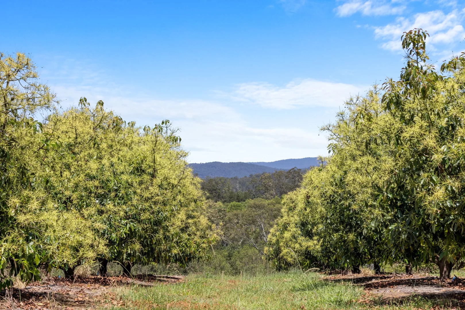 Additional image 29 of 1255 Bulmers Road, Hogarth Range NSW 2469