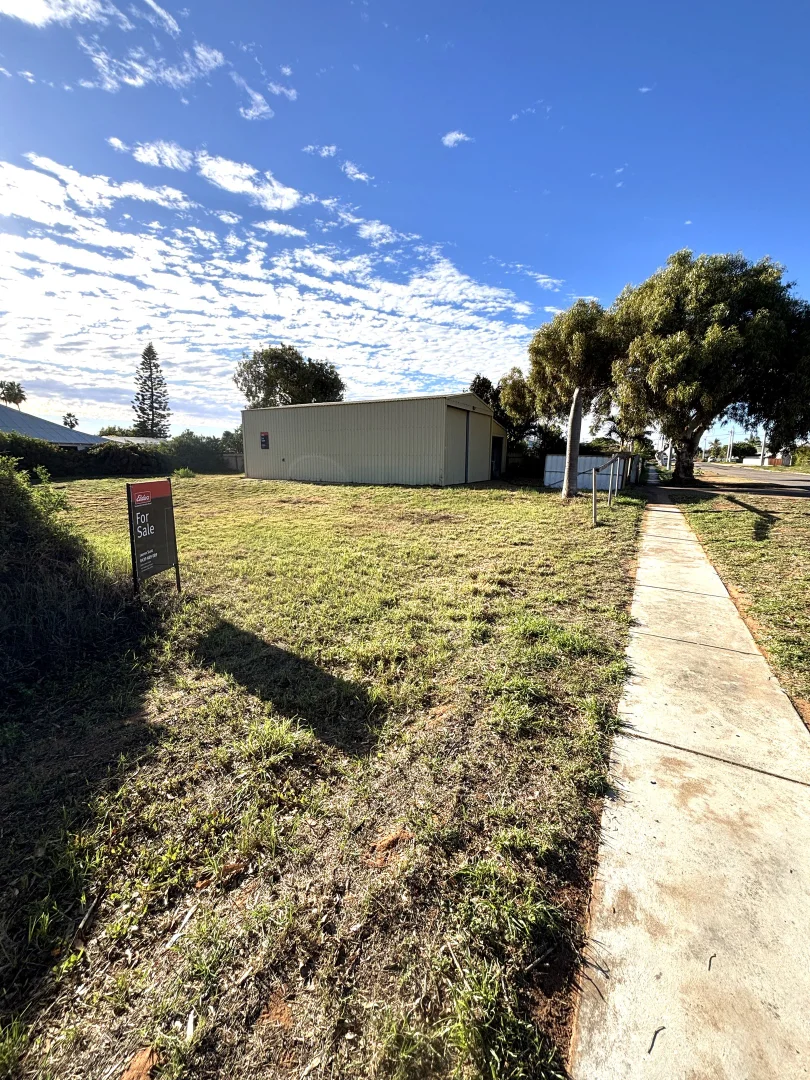 Additional image 11 of 145 Olivia Terrace, South Carnarvon WA 6701