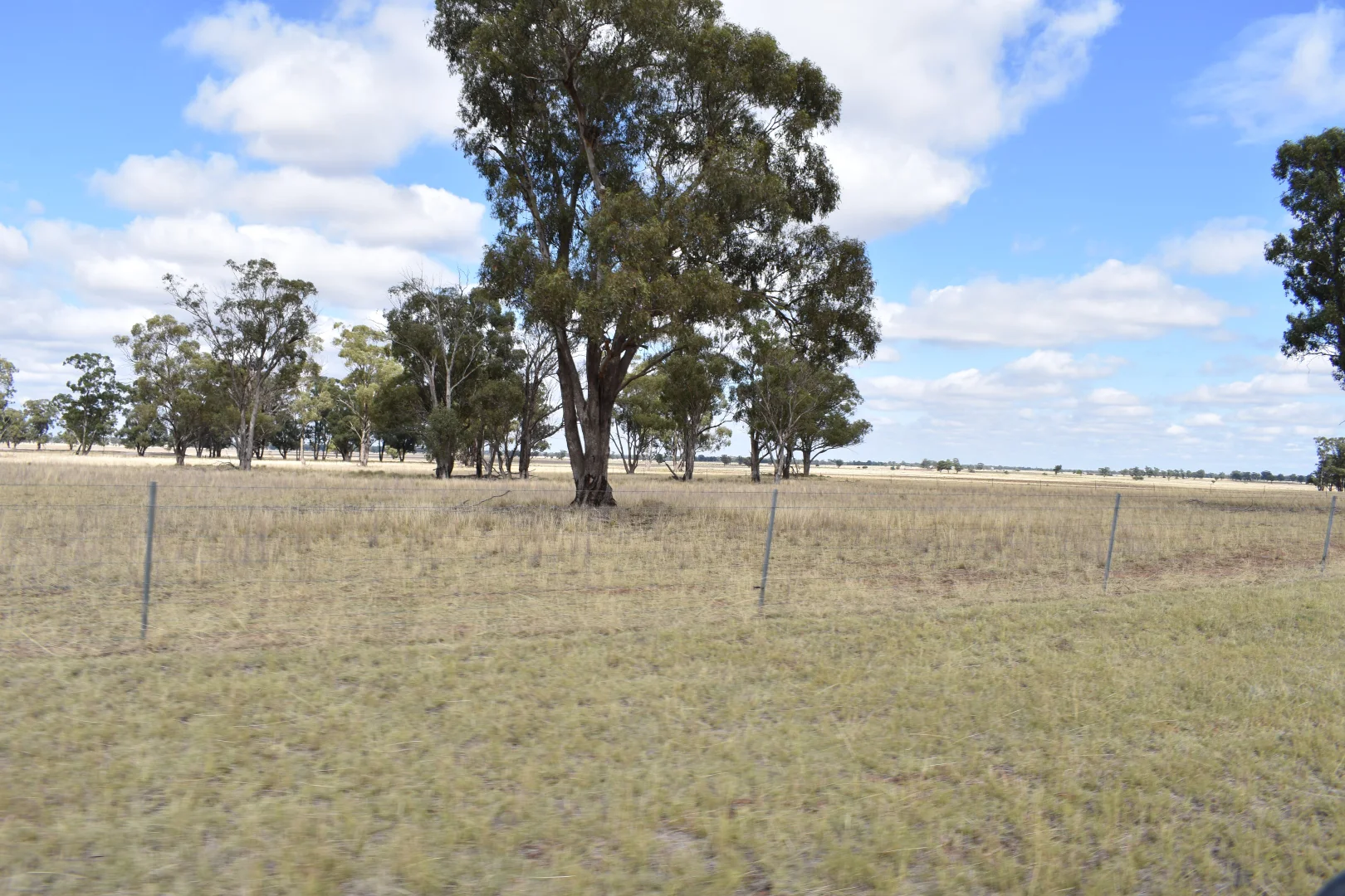 Additional image 48 of 987 Boorr Hill Road, Bruie Plains NSW 2875