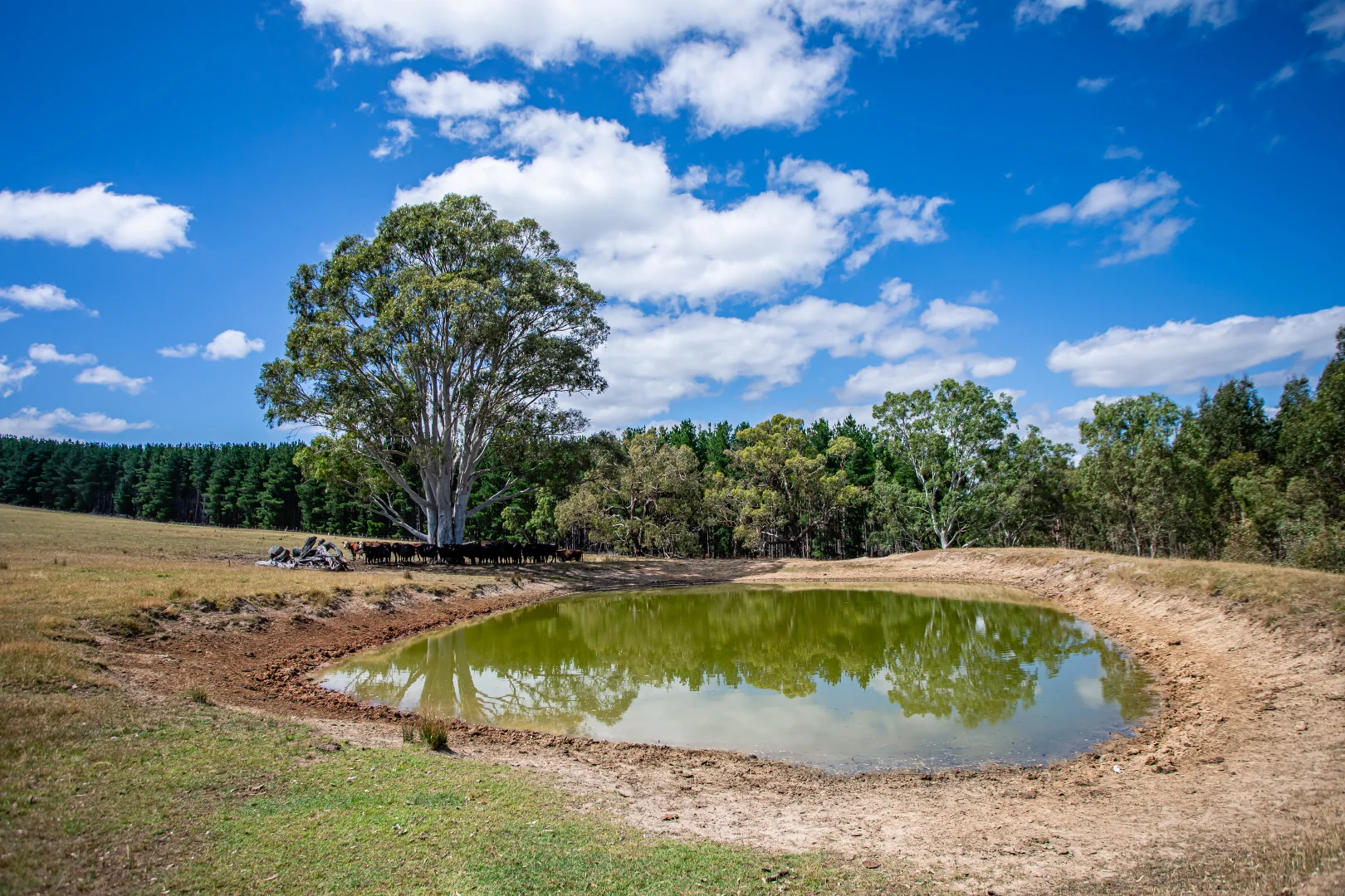 Additional image 24 of 93 The Bluff Road, Casterton VIC 3311