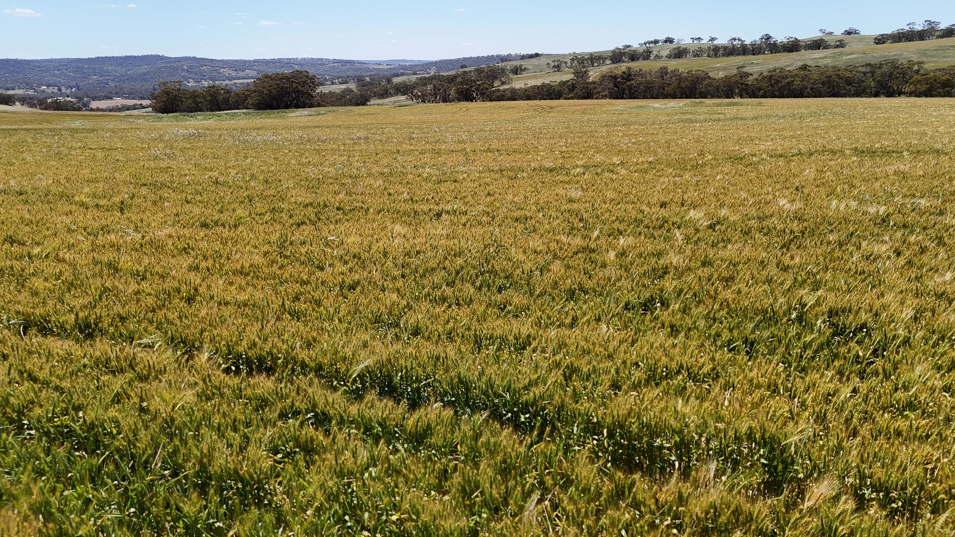 Additional image 15 of 180 Nottingham Road, Toodyay WA 6566