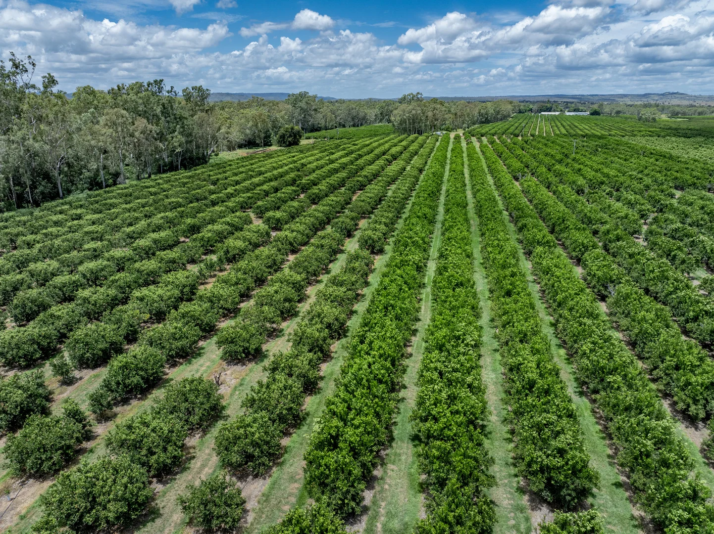 Additional image 15 of 100 Sandersons Lane, Mundubbera QLD 4626
