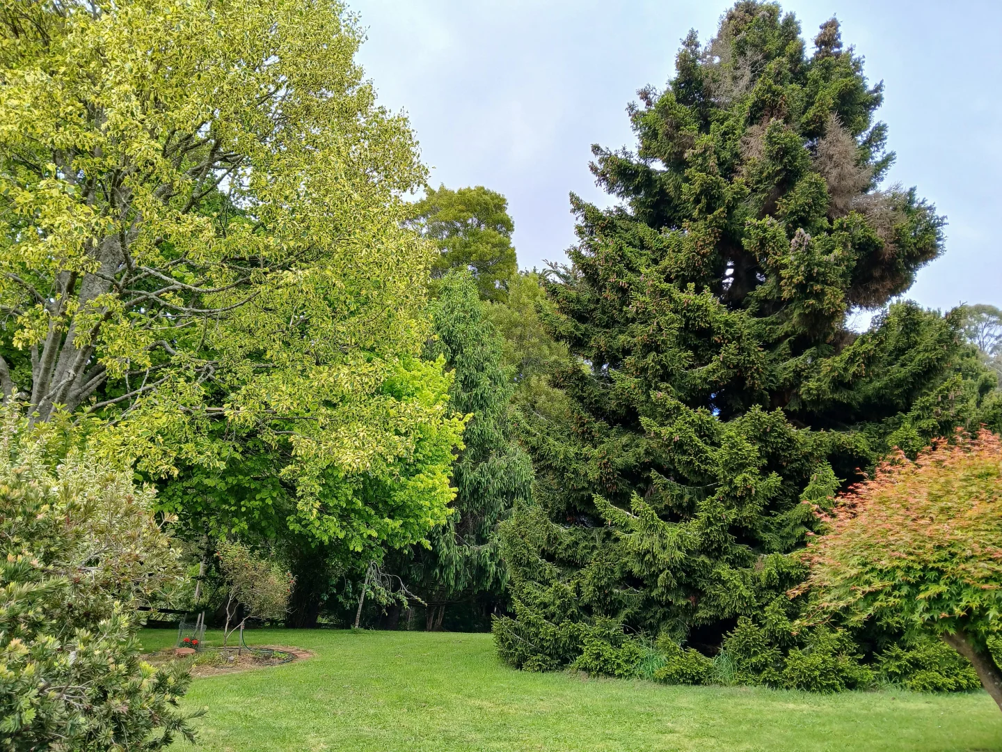 Additional image 16 of 74 Fosters Road, Wynyard TAS 7325