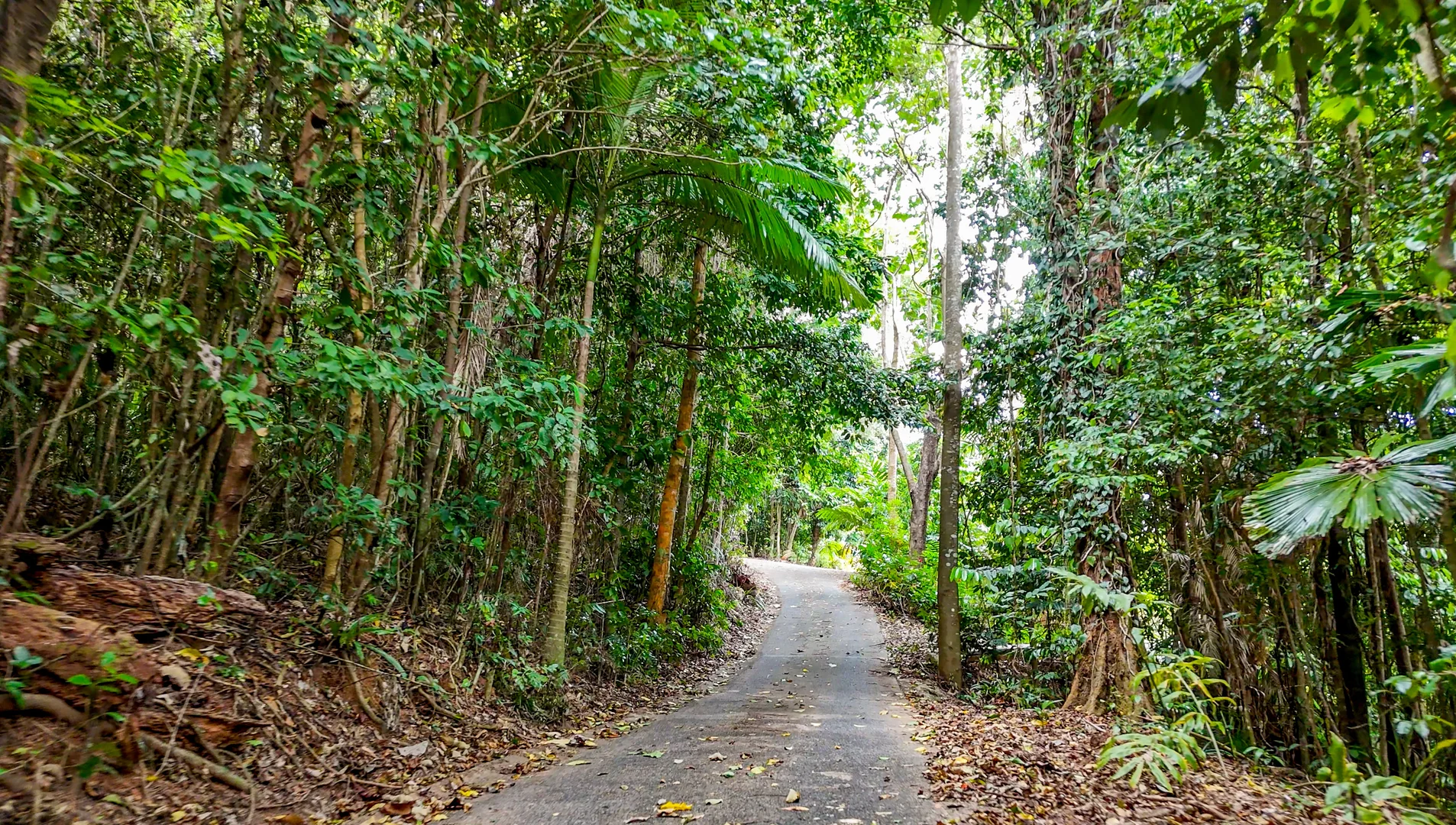 Additional image 10 of 28 Mission Circle, Wongaling Beach QLD 4852