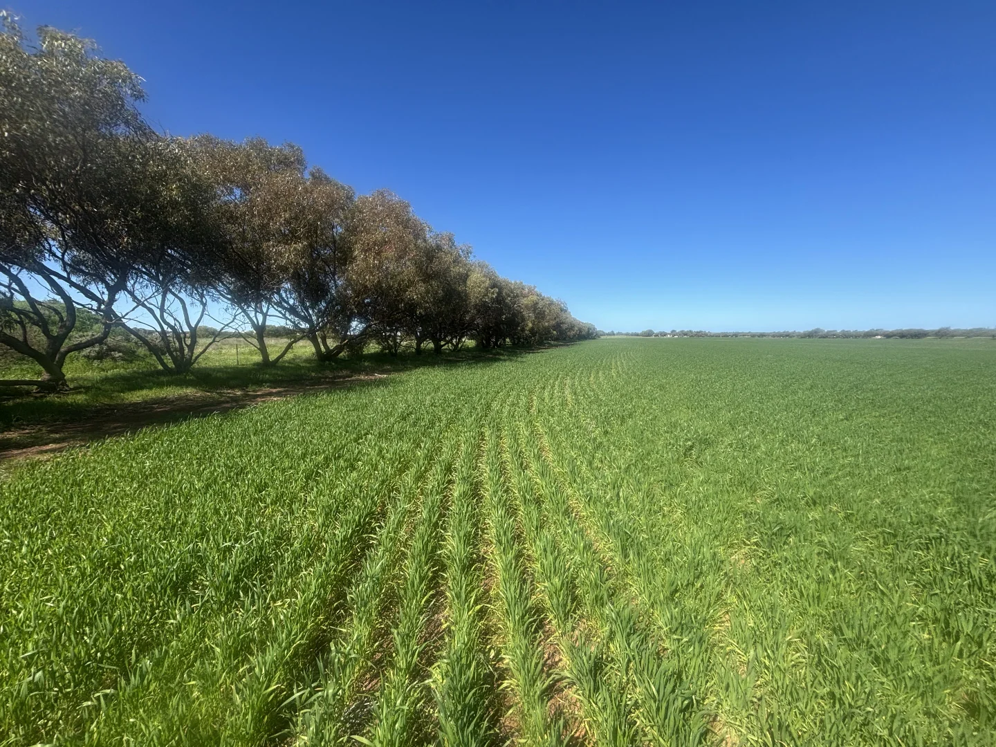 Additional image 4 of Lot 1152 Narngulu, Narngulu WA 6532