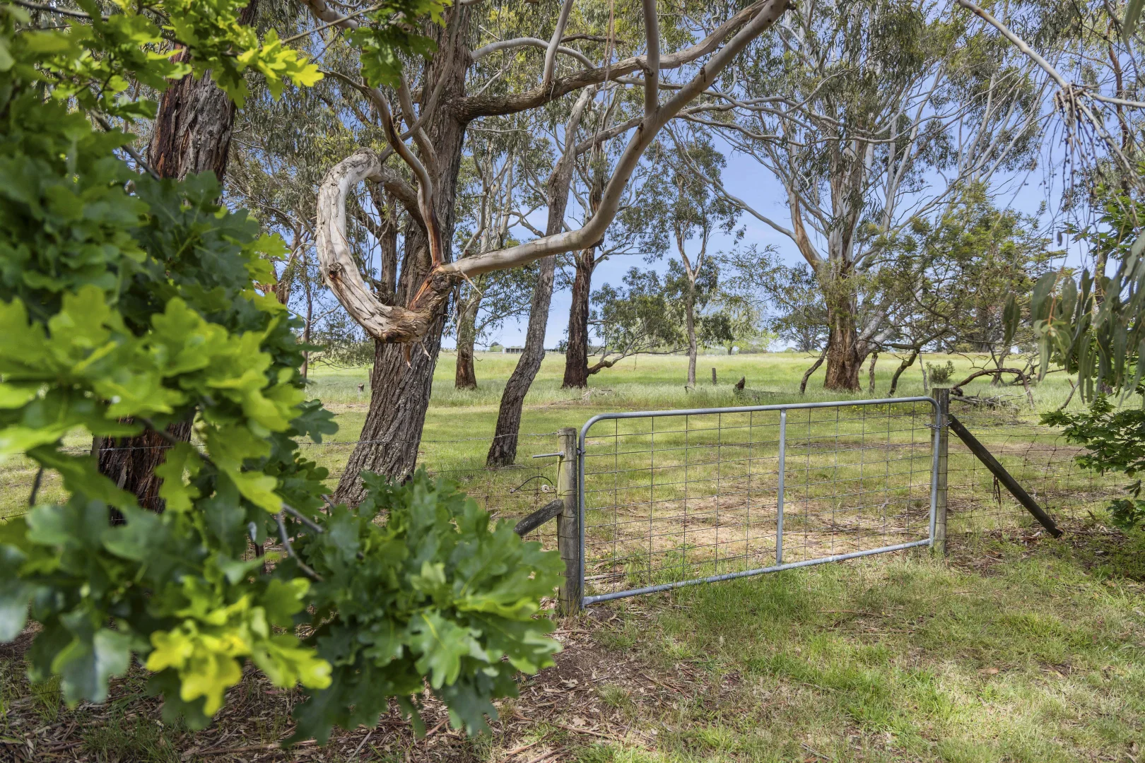 Additional image 21 of 84 Church Parade, Kingston VIC 3364