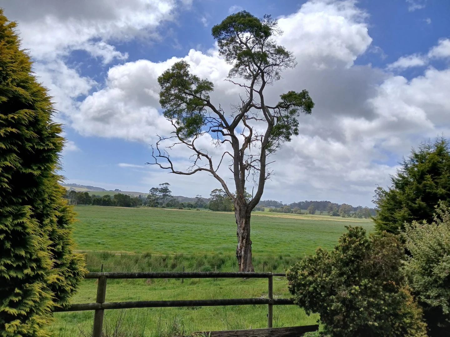 Additional image 33 of 74 Fosters Road, Wynyard TAS 7325