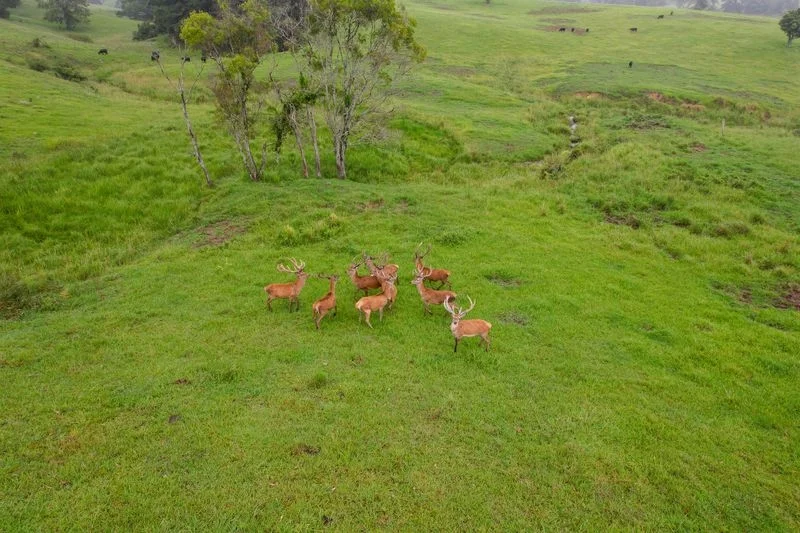 Additional image 6 of 10/400 Bellthorpe West Road, Bellthorpe QLD 4514