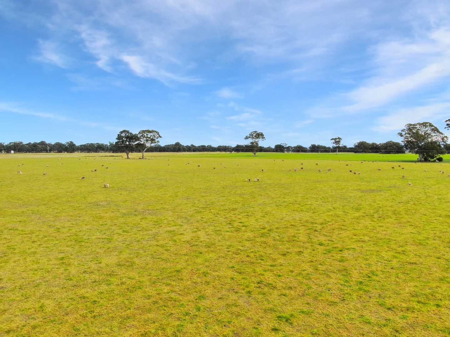 Additional image 6 of Lee's Road, Briagolong VIC 3860