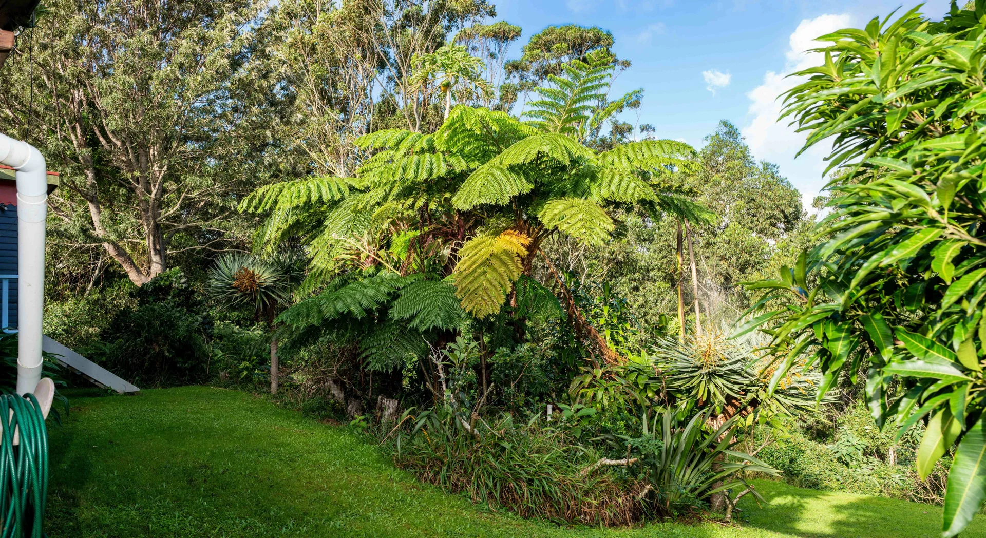 Additional image 27 of 8 Adams Road, Norfolk Island NSW 2899